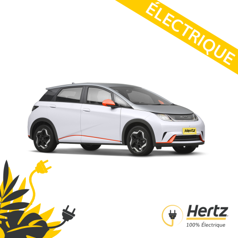 BYD Dophin Electric