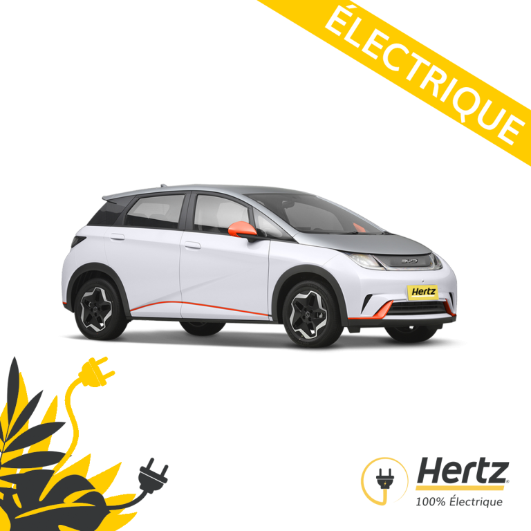 BYD Dophin Electric